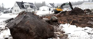 Lägenheten vinner mot villan