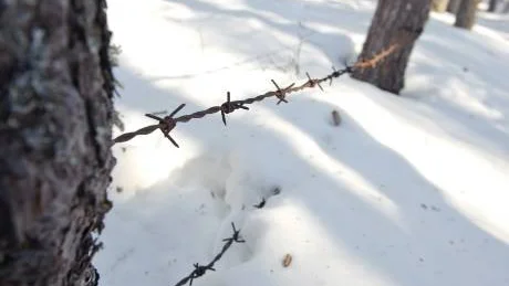 Den här taggtråden ledde inte till Försvarsmakten.