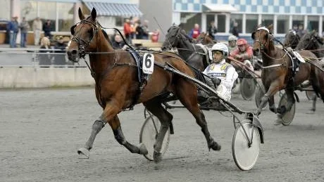 BRA NU. Brownsky med Patrik Nygren, vann V5-4, och därmed kunde Jan Nilsson inkassera en seger för andra tävlingsdagen i rad.