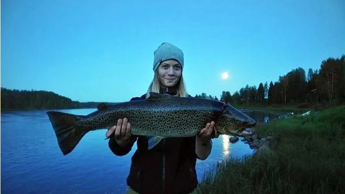 Fick storöring. Malin Nygren, Korpilombolo, visar upp den storöring på 6 100 gram som hon fick när hon trollingfiskade med båd på Kalixälven vid Narken. Betet var en svart JOP wobbler.