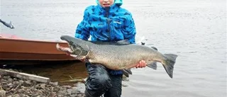 Årets laxrodd avklarad
