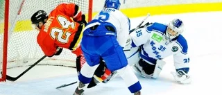 Luleå Hockey besegrade Brno