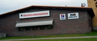Distriktsveterinär larmar om olaglig kattjakt