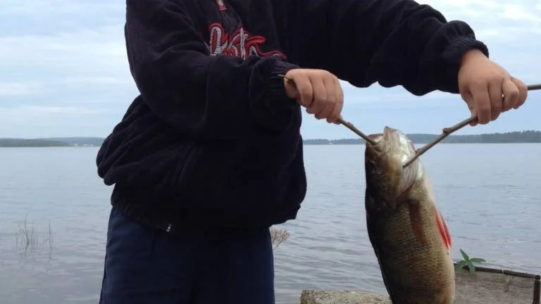 GLAD STORFISKARE. Titus Eriksson i Antnäs fick sitt livs första fisk, en abborre på 700 gram, och har också tur i lottningen i den sjätte etappen i Fiske-DM.