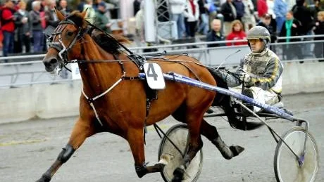 NY SEGER. Petter Lundberg lyckades vinna ett av loppen på V5 i fredags med Top Disguise (ej på bilden). Lundberg segrade efter en tuff duell med Gunnel Fredrikssons Chaco Bar.