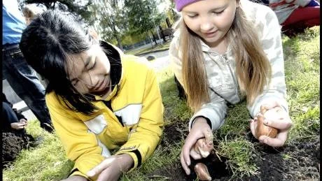 FIN MILJÖ. Barnen på Östra och deras pedagoger har en plan. Att göra Östras skolgård till en fin läromiljö. Här ett exempel på det. Det är från vänster Sabrina Hugh och Therese  Gewerths som planterar vårlökar.