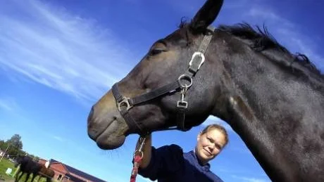STALLTJEJ OM STALLTJEJER. Lena Forsberg, Luleå tekniska universitet, är författare till en licentiatuppsats som bland annat handlar om hur den hårda stallmiljön påverkar stalltjejer.