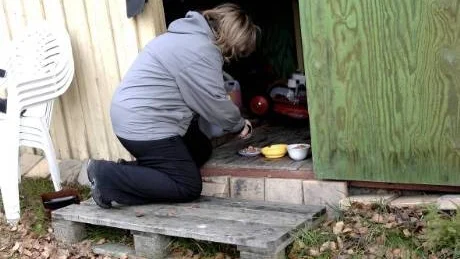 HENNES ANSVAR. Av kommunen fick Birgitta Enqvist veta att katterna var hennes ansvar eftersom hon matat dem. Kanske att de heller inte var vilda katter utan stannade för att hon gav dem mat. Birgitta Enqvist säger dock att det inte råder någon tvivel om att det är vildkatter.