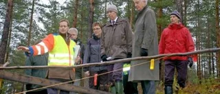 Domstol på stupkanten