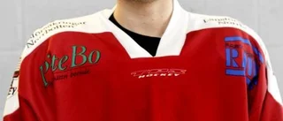 Bergner till Rosvik