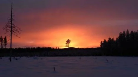 Flammande kvällssol vid Långmyran.