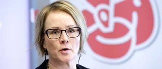 Vill folkomrösta om regionfrågan