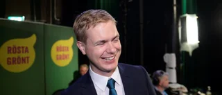 Björntjänst eller lärartjänst