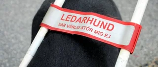 Nytt Haparandaföretag satsar internationellt