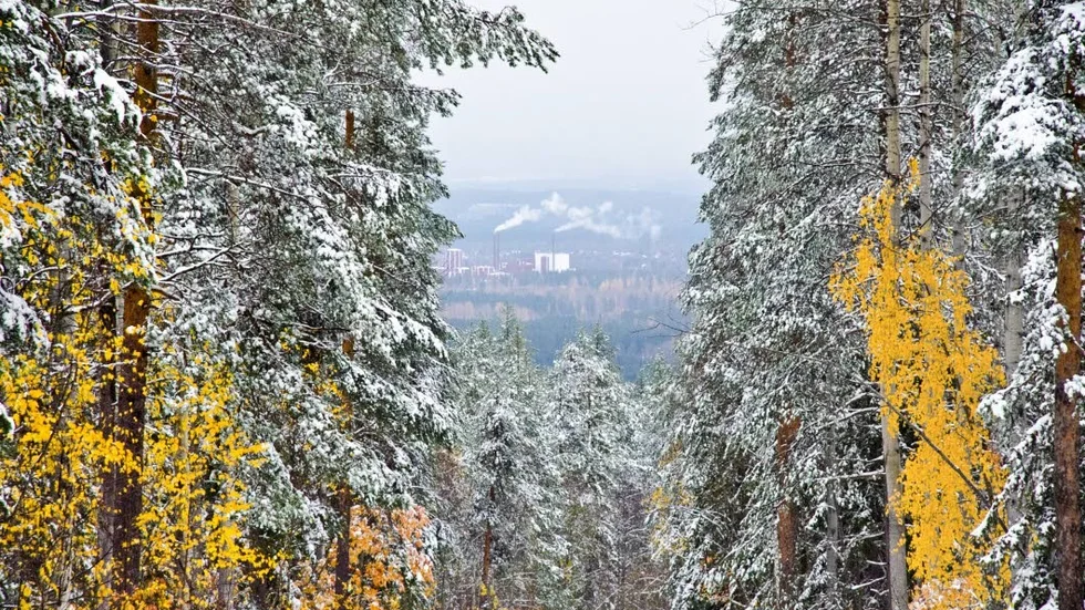 Vill förbättra miljöhänsynen. Skogsstyrelsen ska i höst besöka ett hundratal privata skogsägare, entreprenörer och skogsbolag i Norrbotten för att diskutera miljöhänsyn vid avverkning.