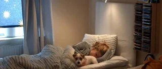 Hund riskfaktor vid snarkning
