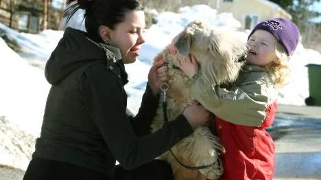Tvååriga Linnea Holm, Klubbgärdet gillar att krama grannhunden Malte, en Irish softcoated  wheaten terrier. Maltes ägare heter Kim Markström.