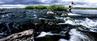Utkast för årets Fiske-DM