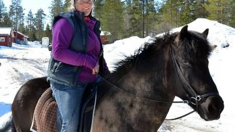 ORO. Mia Larsson, med islanshästen Siling Gur, är en av många hästägare i Gällivare som planerat att utvidga sina hästhagar i år. Sparkraven är dock ett hinder.