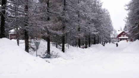 I kvarteret Skogen, mellan Brittgården och Domängatan, kan fyra-fem nya lägenheter komma att byggas. Miljö-, bygg- och hälsoskyddsnämnden har beslutat att meddela A-hem positivt förhandsbesked.