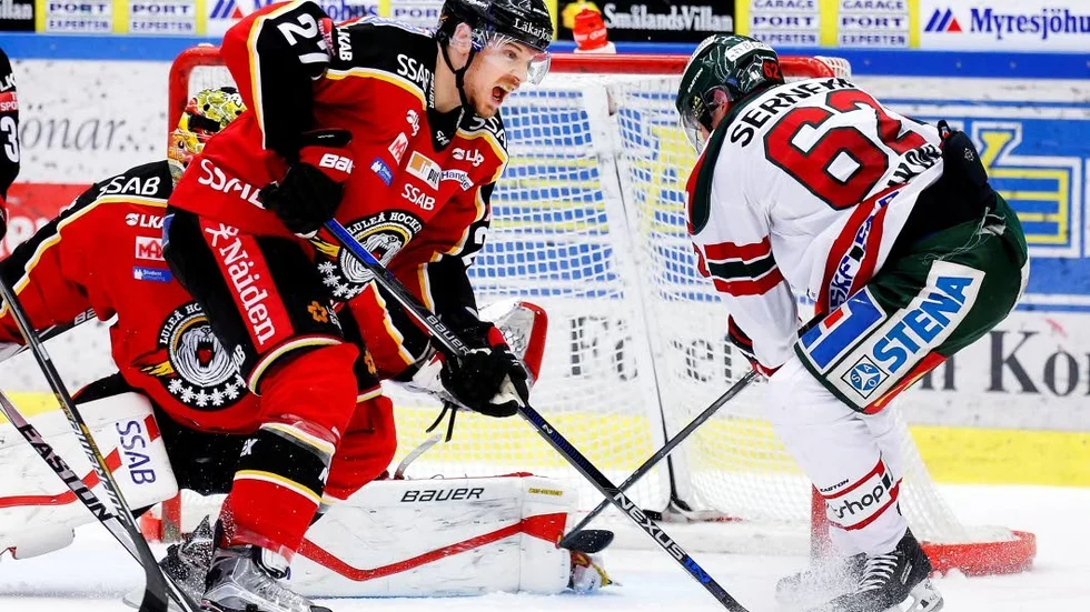 Ansvar, Luleå Hockeys back Brendan Mikkelson har tagit ett stort ansvar vid sidan av sien för att hjälpa de Nordamerikanska spelarna.