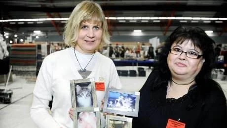 STATUS. Vi  vill höja kattens status. Det säger företrädarna för Föreningen Kattakuten i Norrbotten ordförande Camilla Zerpe Karlsson, Boden, och Annelie Hansson, Luleå. Här med några porträtt av omhändertagna älsklingar som de sålde på Arcusmässans julmarknad. Foto: PETRA ISAKSSON