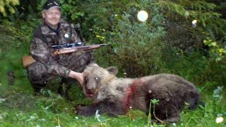 BJÖRN NUMMER 1. Birger Backebjörk sköt årets första björn i Norrbotten. Den totala tilldelningen i länet är 54 björnar.