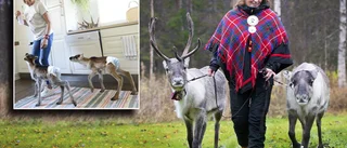”Blöjrenarna” har vuxit upp – nu kan de vara med i Vogue • "Blev många bilder och selfies"