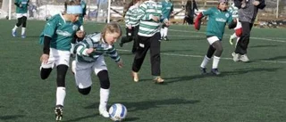 Rekordmånga lag i cupen