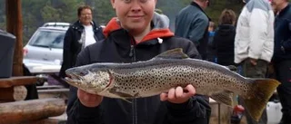 Storfångster på fiskepremiär