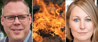 Naturvårdsverket om politikerns utspel: "Bättre för hälsan"