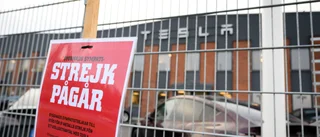 Varför skulle Östhammarsbarnen bli utan mat?