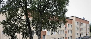  Kanske är inte den gröna omställningen så lockande?