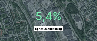 Årsredovisningen klar för Korvgubben: Så gick det för Ephesus AB
