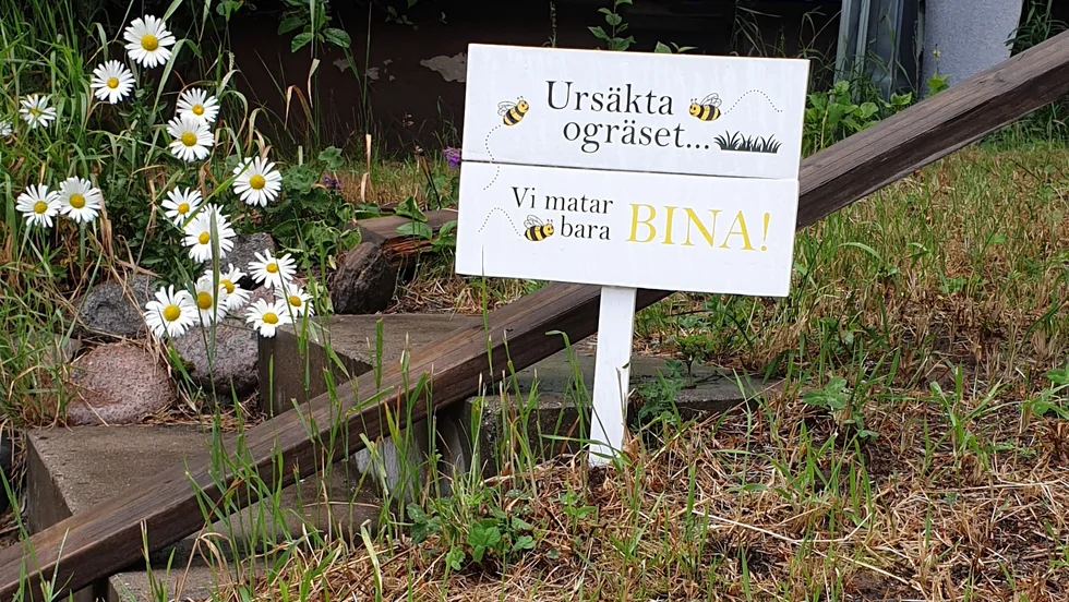 Mums för bina. Anita Högberg från Luleå tog denna bild. "Denna skylt gör mig så glad. Hoppas att många fastighetsägare tar efter. Heja också till Luleå kommun som låter ängarna växa upp.", skriver hon.