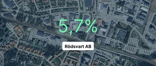 Brant fall för Rödsvart AB - intäkterna ner 36,3 procent