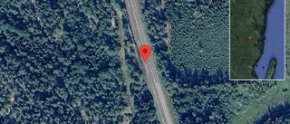 Trafikverket varnar för rådjur på vägen på E22