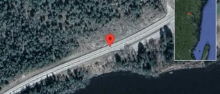 Nedfallna träd påverkar trafiken på E22