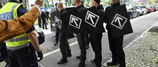 Dumt att förbjuda förnekandet av Förintelsen