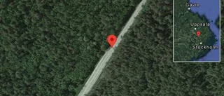 Problem i trafiken efter nedfallna träd på väg 273