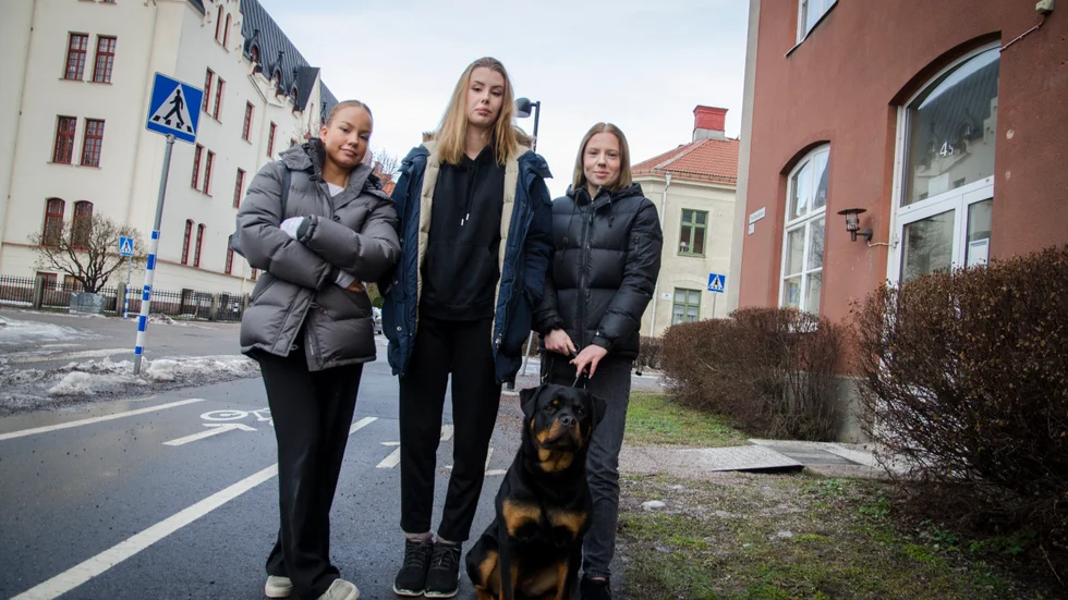 Saga Petersen, Moa Thunberg och Tuva Pettersson går alla sista året på Realgymnasiet i Nyköping och driver UF-företaget Promenad tassarna. På bilden är också deras lärares 1-åriga rottweiler Häxan.