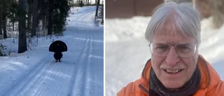 Turf war on ski trail: angry capercaillie takes a stand