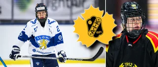 Tre VM, ett OS och 85 landskamper – nu klar för Skellefteå AIK