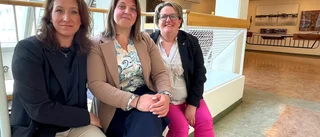 Hur mycket av SD:s stöd från regionen går till trollfabrikerna?