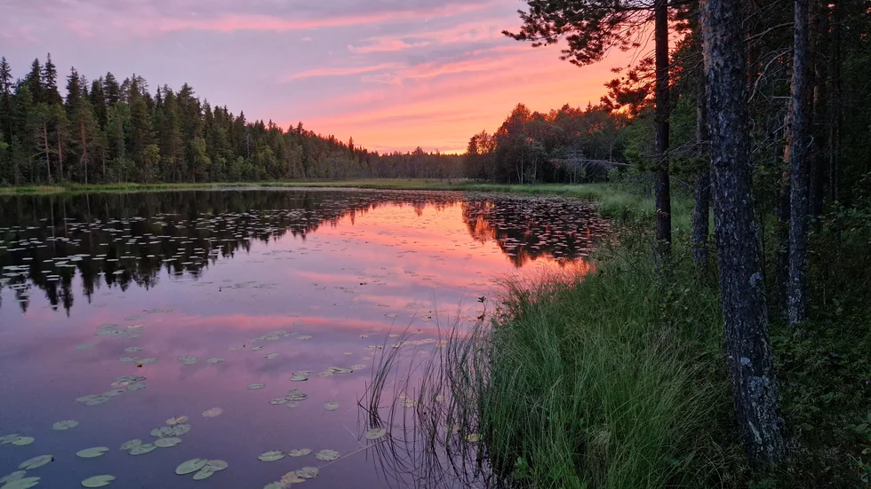 Lugnt och stilla.