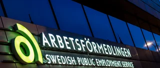 Västerbotten crowned Sweden's job king with 3.6% jobless rate