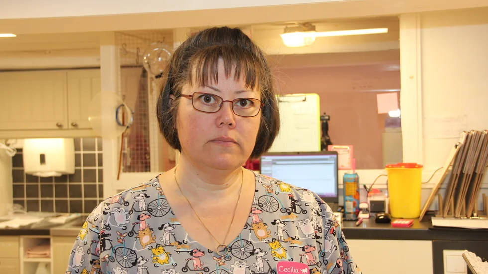 Cecilia Arnström är verksamhetschef på Norrtälje kattcenter. Hon berättar att många erbjudit sig att ta hand om de tre katterna som hittades i skogen utanför Österbybruk.