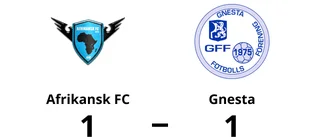 Gnesta fixade en poäng mot Afrikansk FC