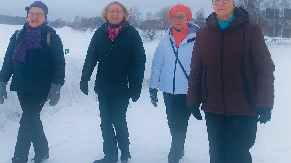 Else-Maj, Anita,Hjördis och Sanni vid Norra hamn. Inga-Britt och Eva mötte vid detta tillfälle upp på fikaplatsen