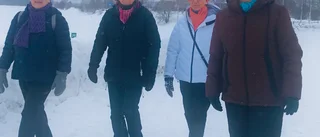 Promenadgruppen i SPF Åkerbäret 